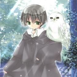 harry and hedwing anime harry potter