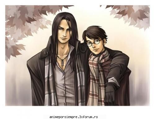 sirius and james anime harry potter