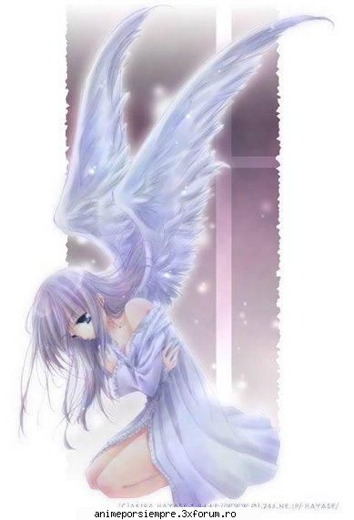 a4 :nebun: anime angel